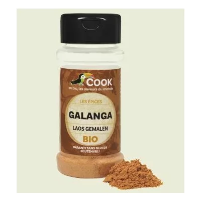 Galangal pudra bio 25g Cook PRET REDUS