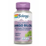 Ginkgo Biloba 60mg, Solaray, 60 capsule, Secom-picture