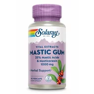 Mastic Gum 500mg, Solaray, 45 capsule, Secom-picture