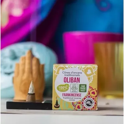 Conuri parfumate tamaie 12 buc Aromandise