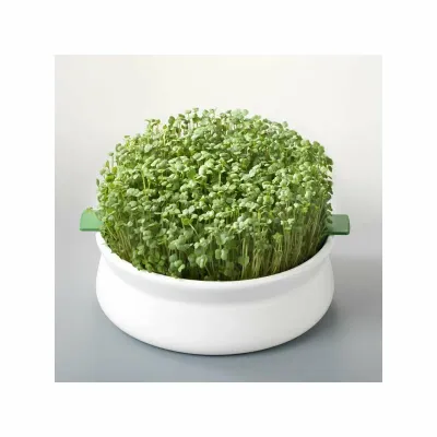 Vas de ceramica cu sita pentru germinare seminte mucilaginoase Germline