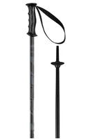 Bețe ski Elan Rockrod Black
