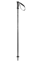 Bețe ski Elan Rockrod Black