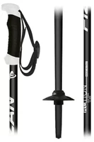 Bețe ski Fizan Action PRO SR Black