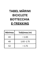 Bicicleta electrică Bottecchia BE20 E-Trekking Richmond C31 Antracit, baterie Green Way Li-Ion 36V 504Wh, motor roata spate 36V 250W