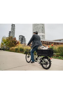 Bicicletă familie electrică Sum Alpa Alb, motor Bafang 250W 45Nm, baterie 10Ah 36V picture - 7