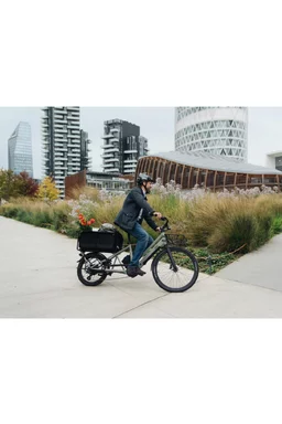 Bicicletă familie electrică Sum Alpa Alb, motor Bafang 250W 45Nm, baterie 10Ah 36V picture - 9