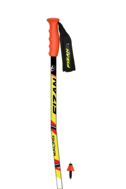 Bete Fizan Racing SR GS Curved picture - 1