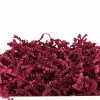 Sizzlepak Burgundy