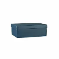 Cutii cu capac 380*260*130mm