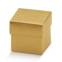 Cutii cu capac mici 165*110*40mm
