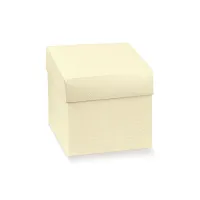 Cutii patrate cu capac mari Seta avorio 300*300*200mm