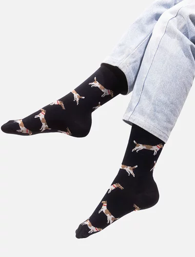 Bunte Socken mit Kabak-Foxterrier-Welpen