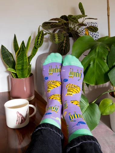 Kabak Violet Cats farbige Socken