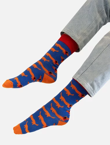 Socken aus Bio-Baumwolle Kabak Dachshunds