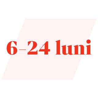 6-24 luni