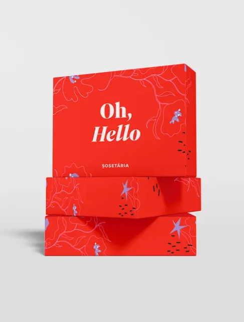 Cutie personalizata pentru cadou Sosetaria