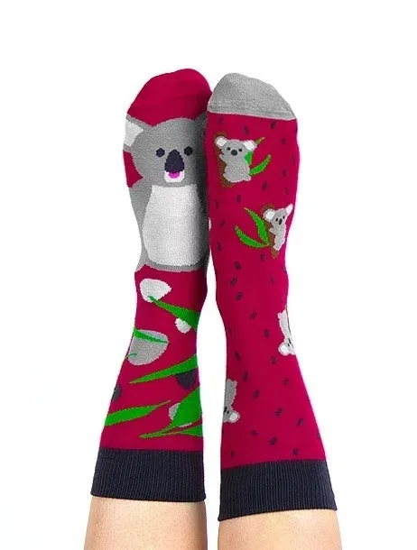 Sosete colorate Nanushki Lala Koala