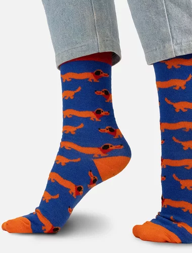 Sosete bumbac organic Kabak Dachshunds