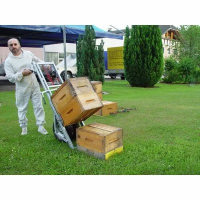 APILIFT Professional original Germania picture - 3