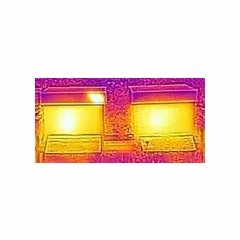 BeeWatch Thermo picture - 3