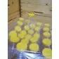 Borcan miere plastic alimentar butoias 1kg bax 50 buc