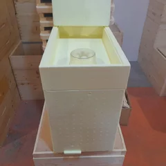 Capac transparent pentru hranitor Bazzica picture - 3