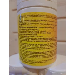 Codraton picture - 3