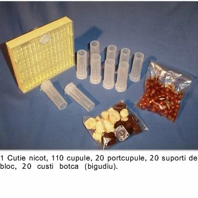 Cutia Nicot 20 matci - Training Video Gratuit picture - 2