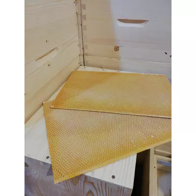 Faguri plastic 1/1 galbeni ceruiti Stuparul.Ro picture - 2