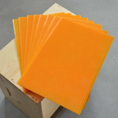 Faguri plastic 1/1 galbeni Stuparul.Ro picture - 2