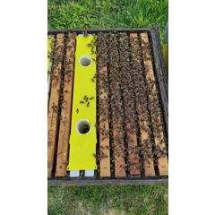 Hranitor uluc profesional, spatiu 2 rame cuib, capacitate 7 litri, ZEUS Italia picture - 3