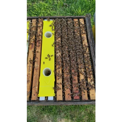 Hranitor uluc profesional, spatiu 2 rame cuib, capacitate 7 litri, ZEUS Italia picture - 3