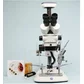 Instrument inseminare SCHLEY 1.01 cu instalatie anestezie, LED, microscop Nexius Zoom Trinocular 7-45x