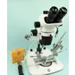 Instrument inseminare SCHLEY 1.02 cu instalatie anestezie, LED si microscop StereoBlue Zoom 10-45x
