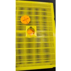 Izolator matca cu gratie Hanneman pentru 1 rame cuib 1/1, cu orificiu introducere matca, ZEUS Italia