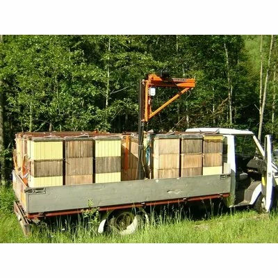 Macara apicola, lungime 3 m, inaltime 2 m, sarcina la varf 100 kg, rotire 360 grade fara autopropulsie picture - 6