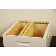 Magazie 10 rame 1/2, grosime 25 mm, vopsita picture - 3