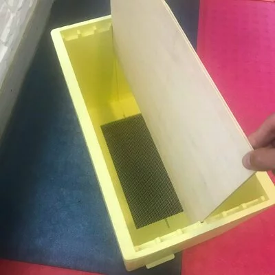 Nucleu polistiren 6 rame cuib BAZZICA picture - 3