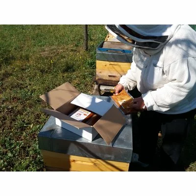 Podisor Proteic Boost cu HiveAlive 500g picture - 5