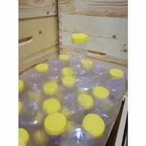 Borcan miere plastic alimentar urs 1kg bax 50buc