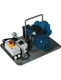 Pompa miere profesionala cu palete inox 220V Thomas