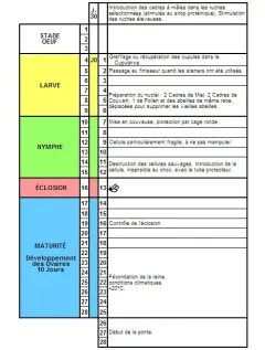 Cutia Nicot 10 matci - Training Video Gratuit picture - 3