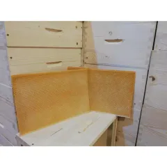 Faguri plastic 1/1 galbeni ceruiti Stuparul.Ro picture - 1