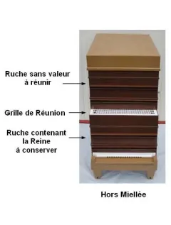 Gratie unificare pentru 10 rame Nicot original picture - 2