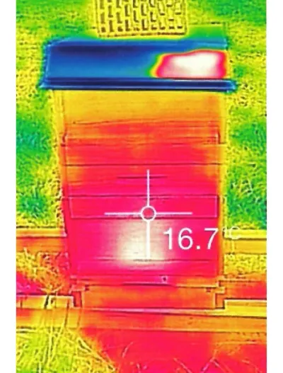 BeeWatch Thermo