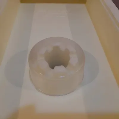 Capac transparent pentru hranitor Bazzica