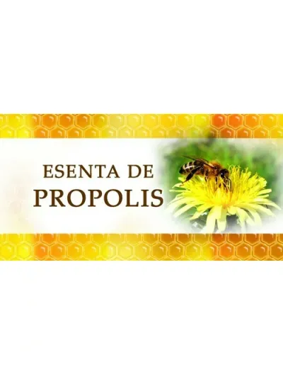 Etichete esenta de propolis 100 buc