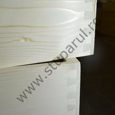 Stup Stuparul.Ro MER 10R HIBRID picture - 4