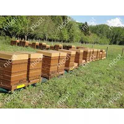 Suport 2 stupi Nicot original Franta picture - 5